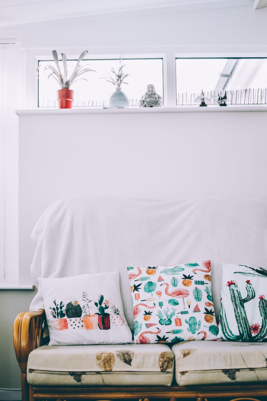Bright Living Room Plants